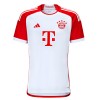 Original Trikotsatz Bayern München Alphonso Davies 19 Heimtrikot 2023-24 Für Kinder